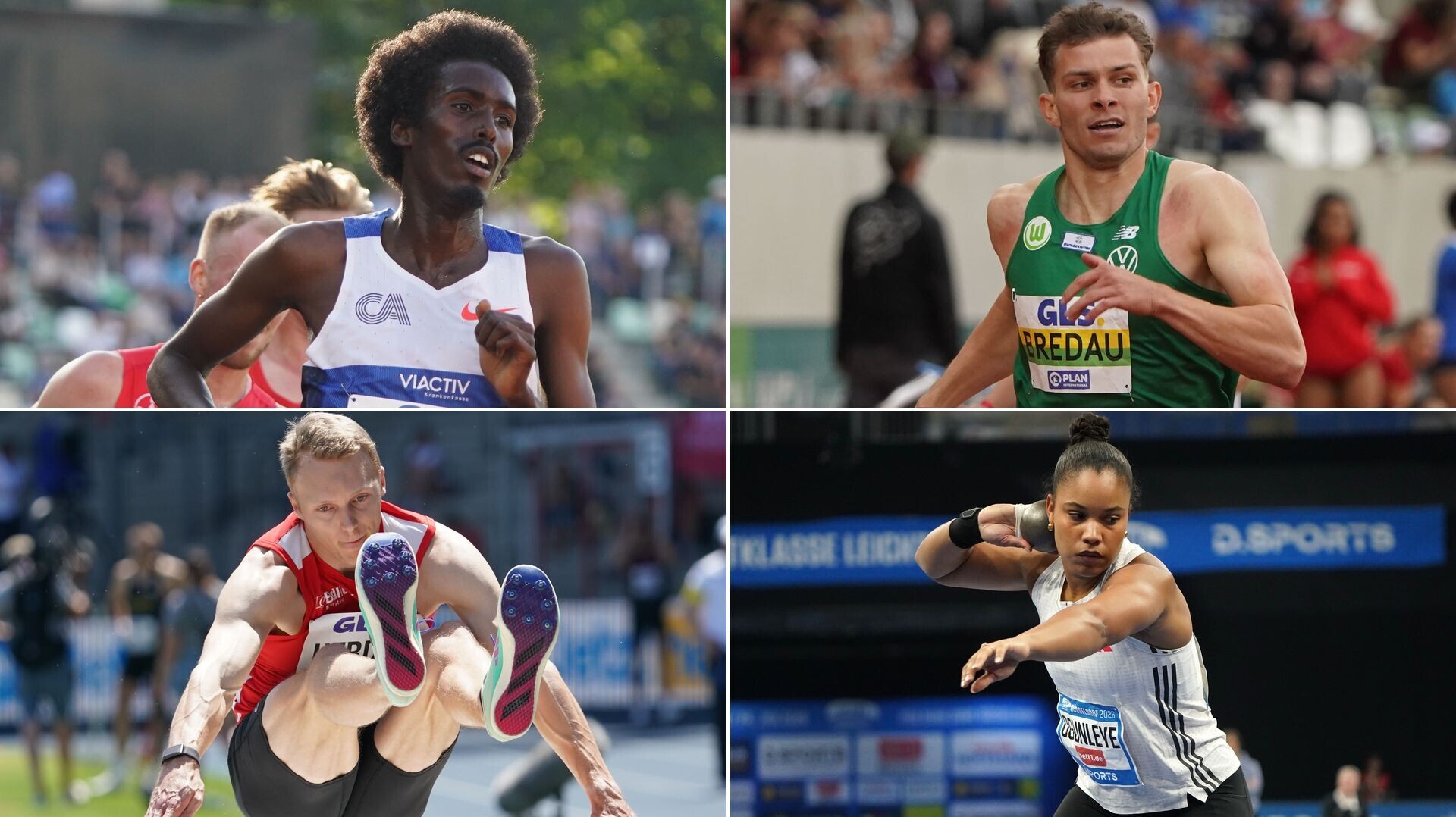 Wählen Sie jetzt Ihr „Ass des Monats“ Januar