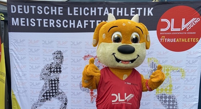 © DLV © DLV