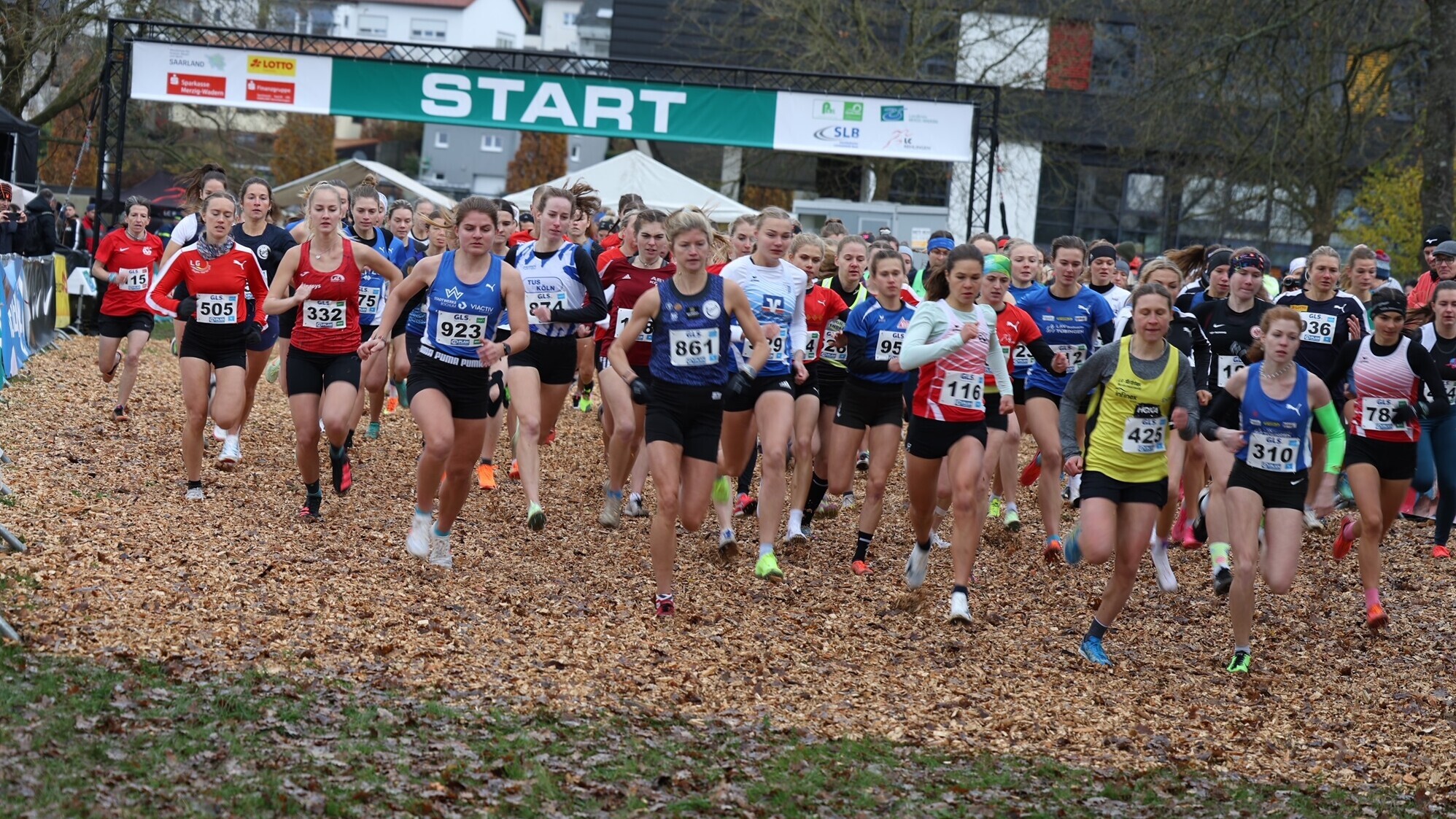 Der Start eines Crosslaufs, Läuferinnen rennen über herbstliche Blätter auf Wiesen-Untergrund