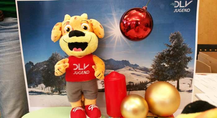 © DLV © DLV