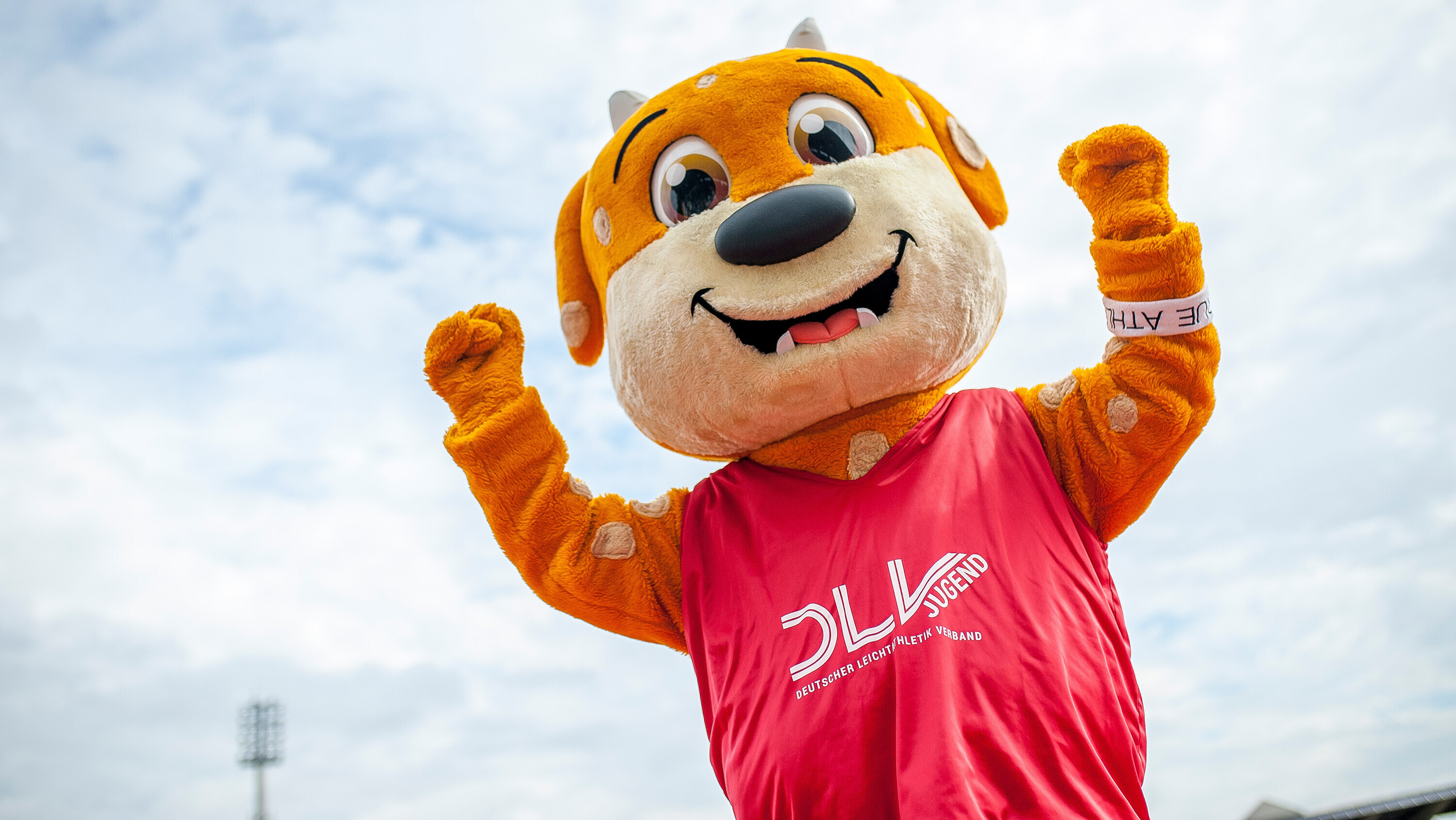 DLJ leichtathletik.de